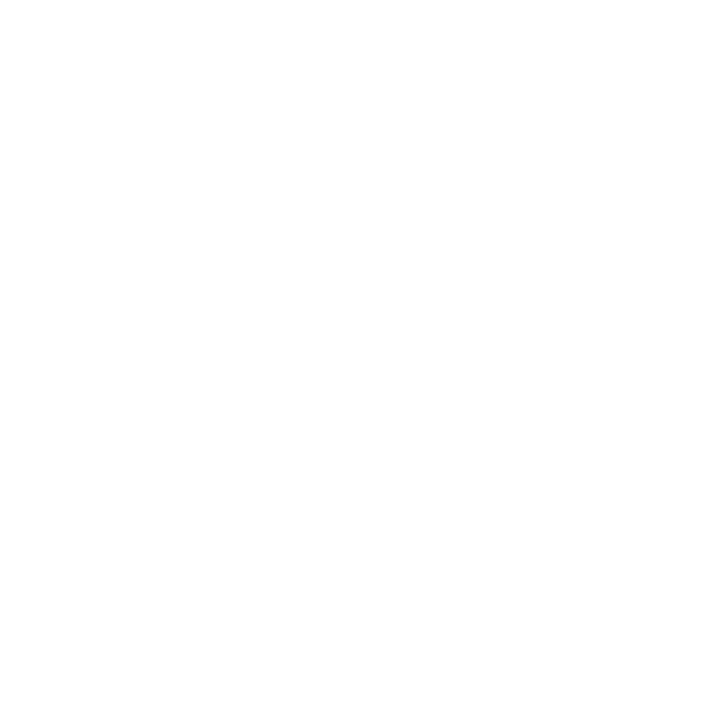 Sapience Software